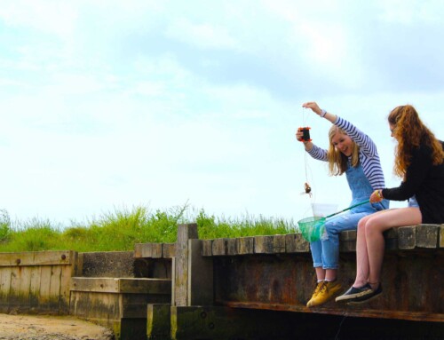 Crabbing in Walberswick