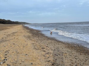Dunwich Beach