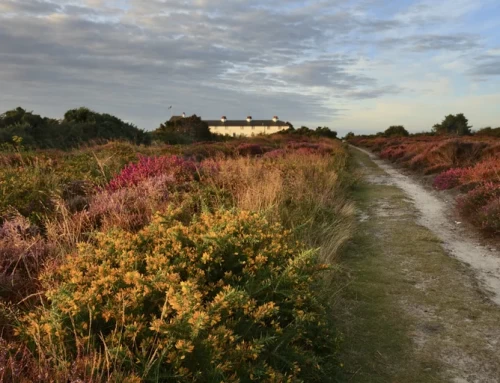 Dunwich Heath