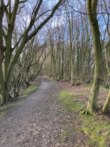Footpath To Rear of Church In Huntingfield Village