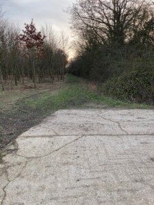 Grass Footpath To Huntingfield