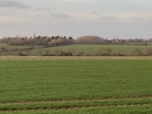 Corner Farm Across Waveney Valley