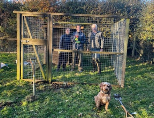 Amenities At Corner Farm – New Dog Run