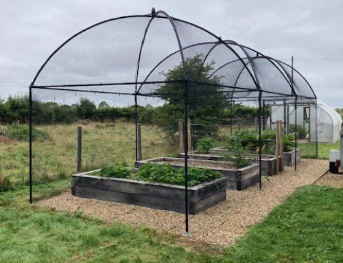 Gardening At Corner Farm – New Soft Fruit Cage