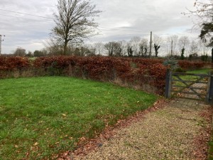 Corner Farm Bed & Breakfast Path to Farmhouse