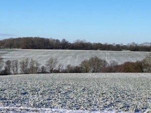 Suffolk countryside in the snow