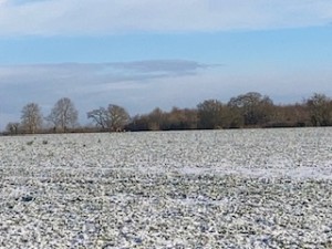 Suffolk Countryside In The Snow