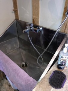 Dog friendly facilities