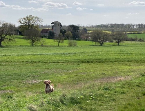 Suffolk this late Spring