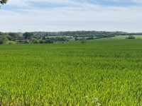 Wide green field under a blue sky with distant farms and a tree line on the horizon.